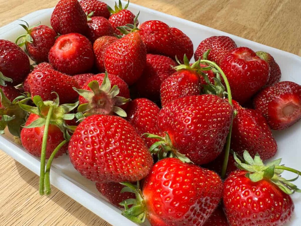 freshly picked strawberries in a white dish on a wooden table