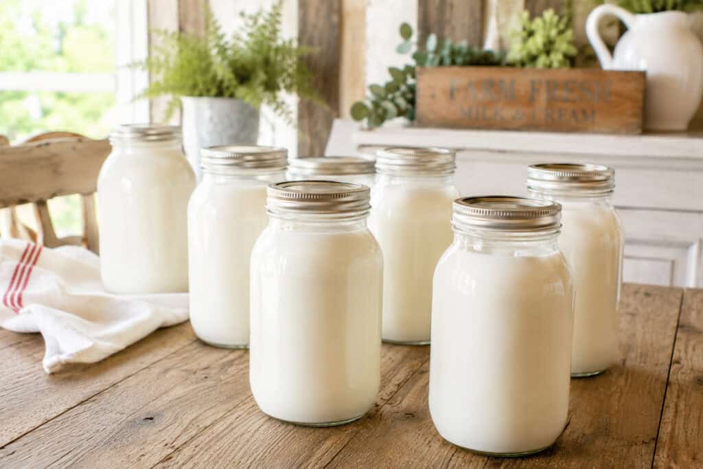 7 quart jars full of milk sitting on a wooden table with a white kitchen towel sitting beside the jars in the back.
