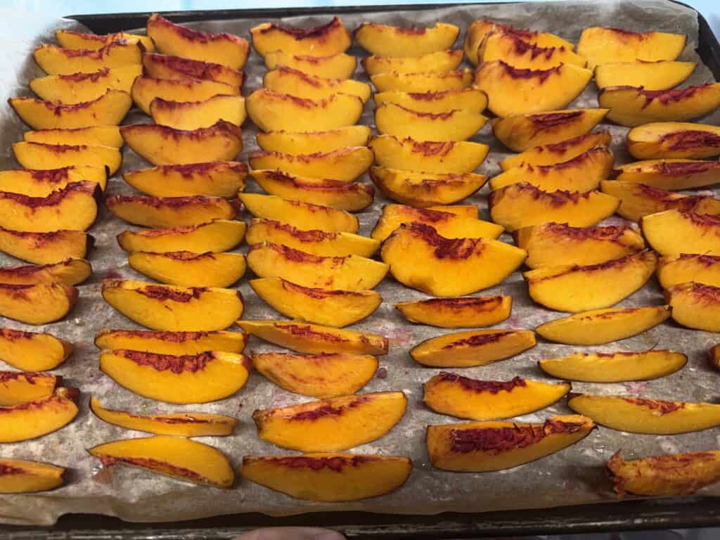 slices of nectarines lined up on a parchment lined tray in the freezer